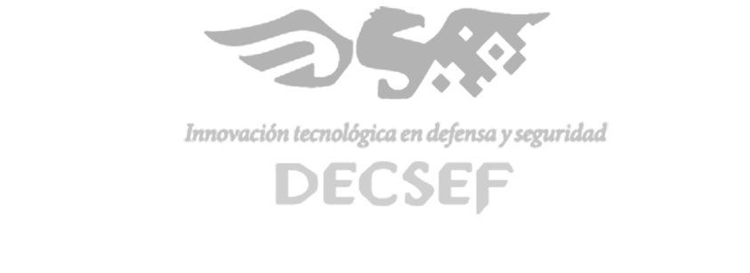 Logo de empresa Decsef