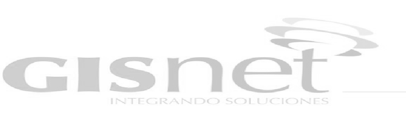 Logo de empresa Gisnet